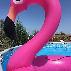  Bed & Breakfast L'alveare